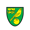 Логотип команды Английской примьер лиги Норвич