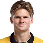 Давид Мёллер Вольфе