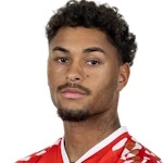 Арминдо Зиб