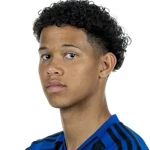 Александр Рёссинг-Лелезиит