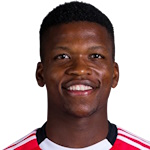 Флорентину Луиш