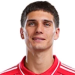 Николас Домингес