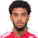 Виллем Гёббельс