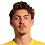 Никола Чавлина