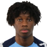 Натан Эльфеж