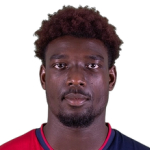 Мишель Адопо