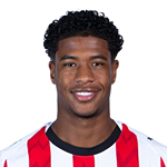 Райан Фламинго