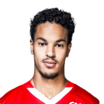 Амин Салама