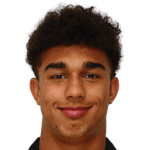 Доминик Вавассори