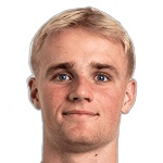 Виктор Моу Фрохольдт