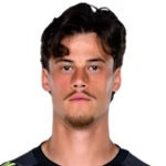 Миле Свилар