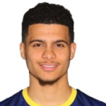 Энгин Тавшан